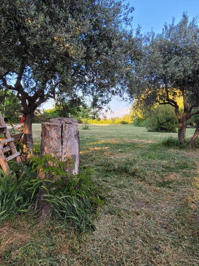 La Ferme Des Escampades Bed & Breakfast Monteux Eksteriør bilde